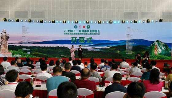 桑植白茶“闪耀”湖南省第十一届茶博会