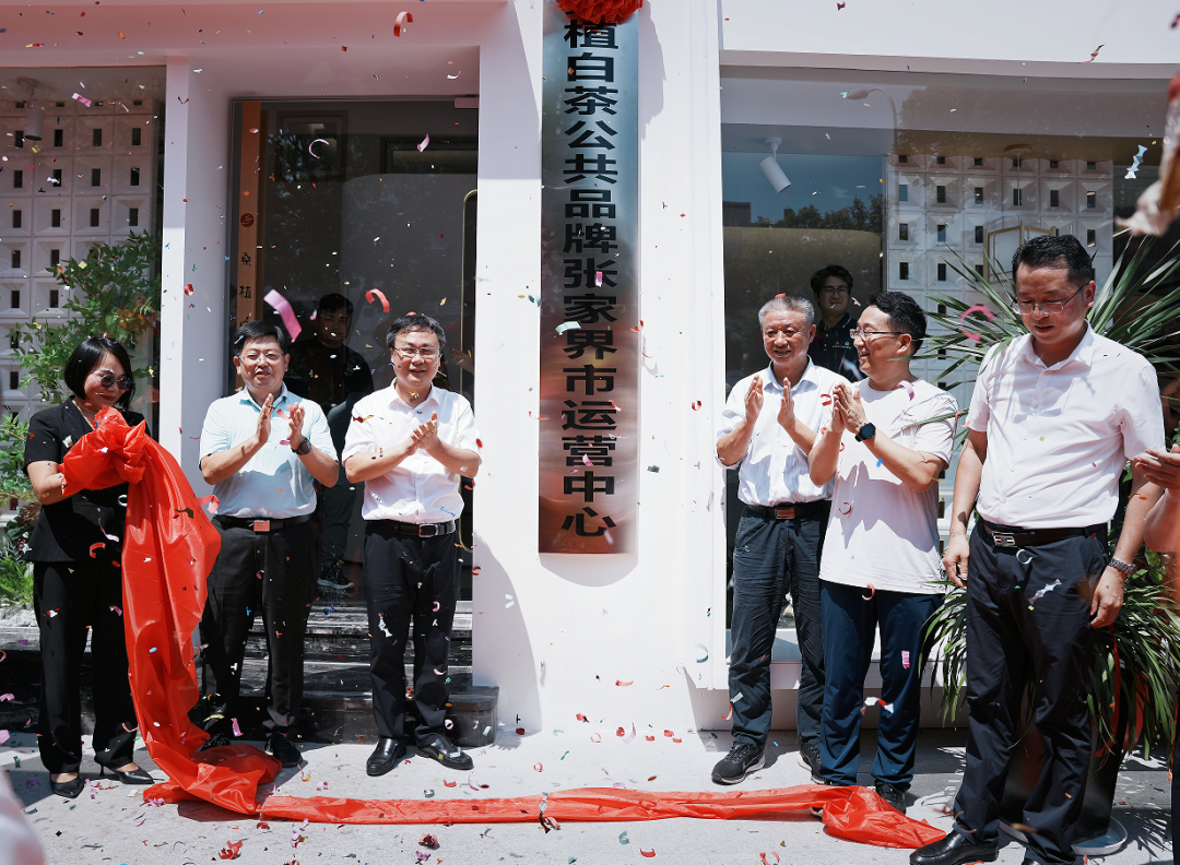 喜报！张家界白莓旗舰店盛装开业暨桑植白茶公共品牌张家界市运营中心隆重揭牌！