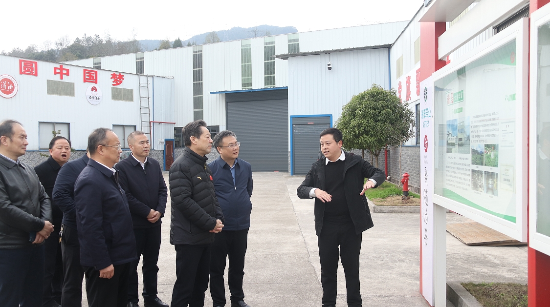 湖南省政协副主席虢正贵带队调研湘丰桑植白茶公司