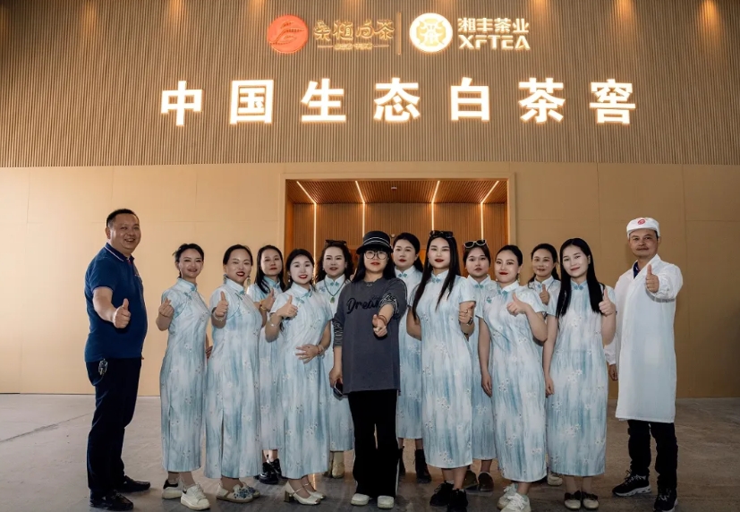 助力品牌腾飞 | 湘丰桑植白茶品宣与营销培训活动如期举行